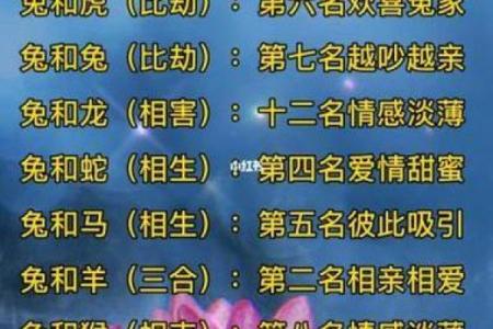 属鸡属兔女相配好吗(鸡兔女性配对的优劣如何)