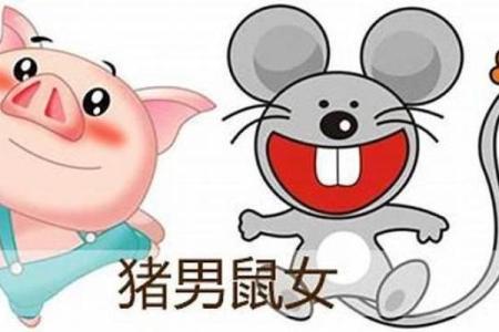 属鼠女和属什么不相配(属鼠女性与哪些属相不合适)