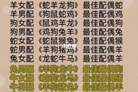属兔属马婚姻相配吗好吗(兔与马的婚姻配对效果如何)