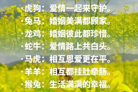属蛇与属鸡属鼠相配吗(属蛇和属鸡属鼠是否合适配对)