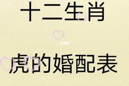 属马跟属虎生肖相配吗(属马与属虎生肖的配对情况如何)