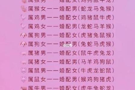 属羊男人属鼠女人相配吗(属羊男性与属鼠女性的配对情况如何)